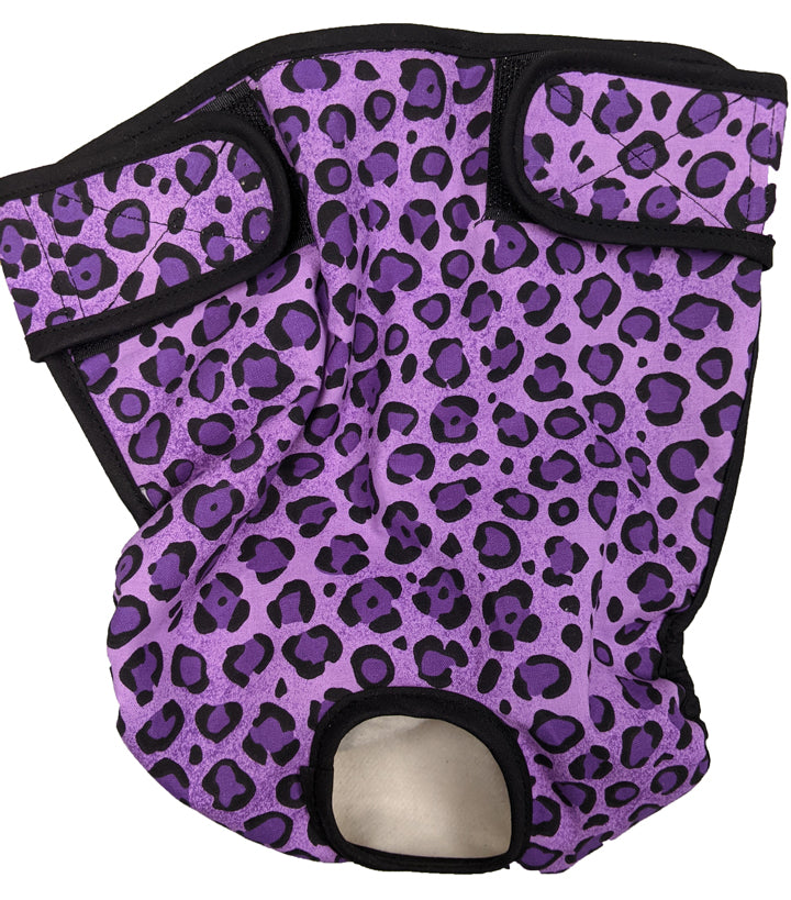 Small Dog Diaper - Seasonals Dog Diapers Small Dog Diaper - Seasonals Dog Diapers