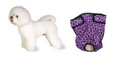 Petite Dog Diaper - Seasonals Dog Diapers