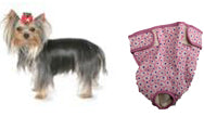 Toy Dog Diaper - Seasonals Dog Diapers Toy Dog Diaper - Seasonals Dog Diapers