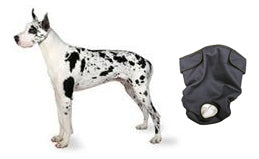 Queen Dog Diaper - Seasonals Dog Diapers