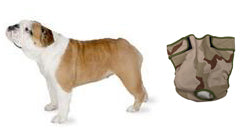 Squatty Body Dog Diaper - Seasonals Dog Diapers