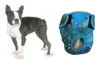 X-Small Dog Diaper - Seasonals Dog Diapers